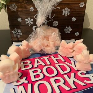 Bath & Body Works Wax Melts~APPLE WEATHER~Christmas Gift Set~